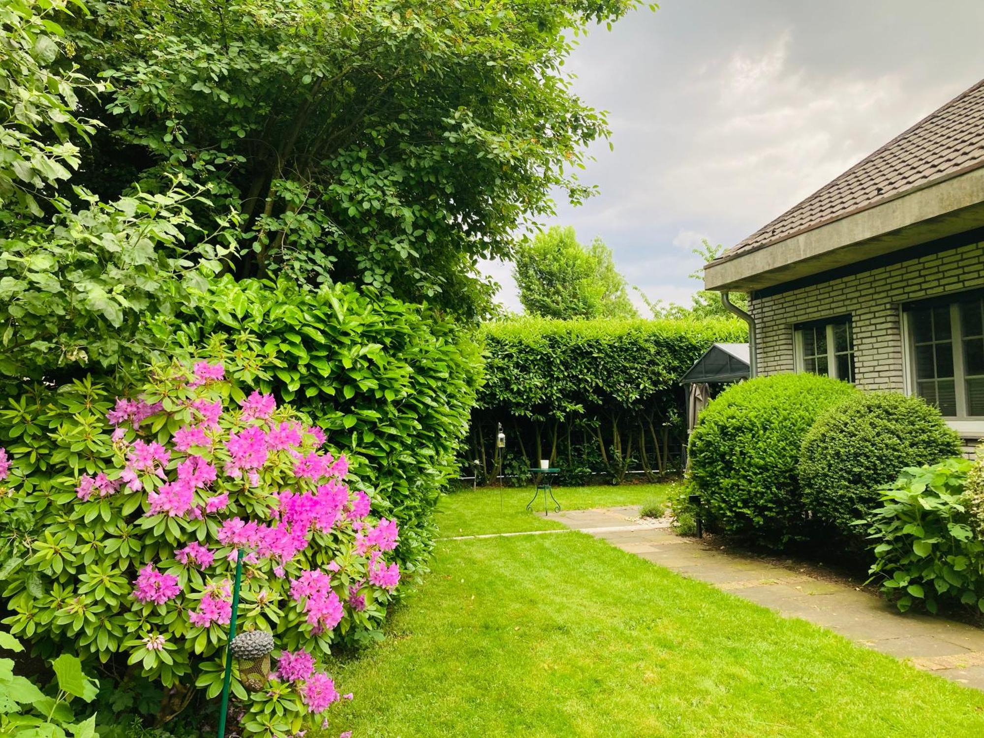 Ferienwohnung Im Haus Annabelle فيزه المظهر الخارجي الصورة