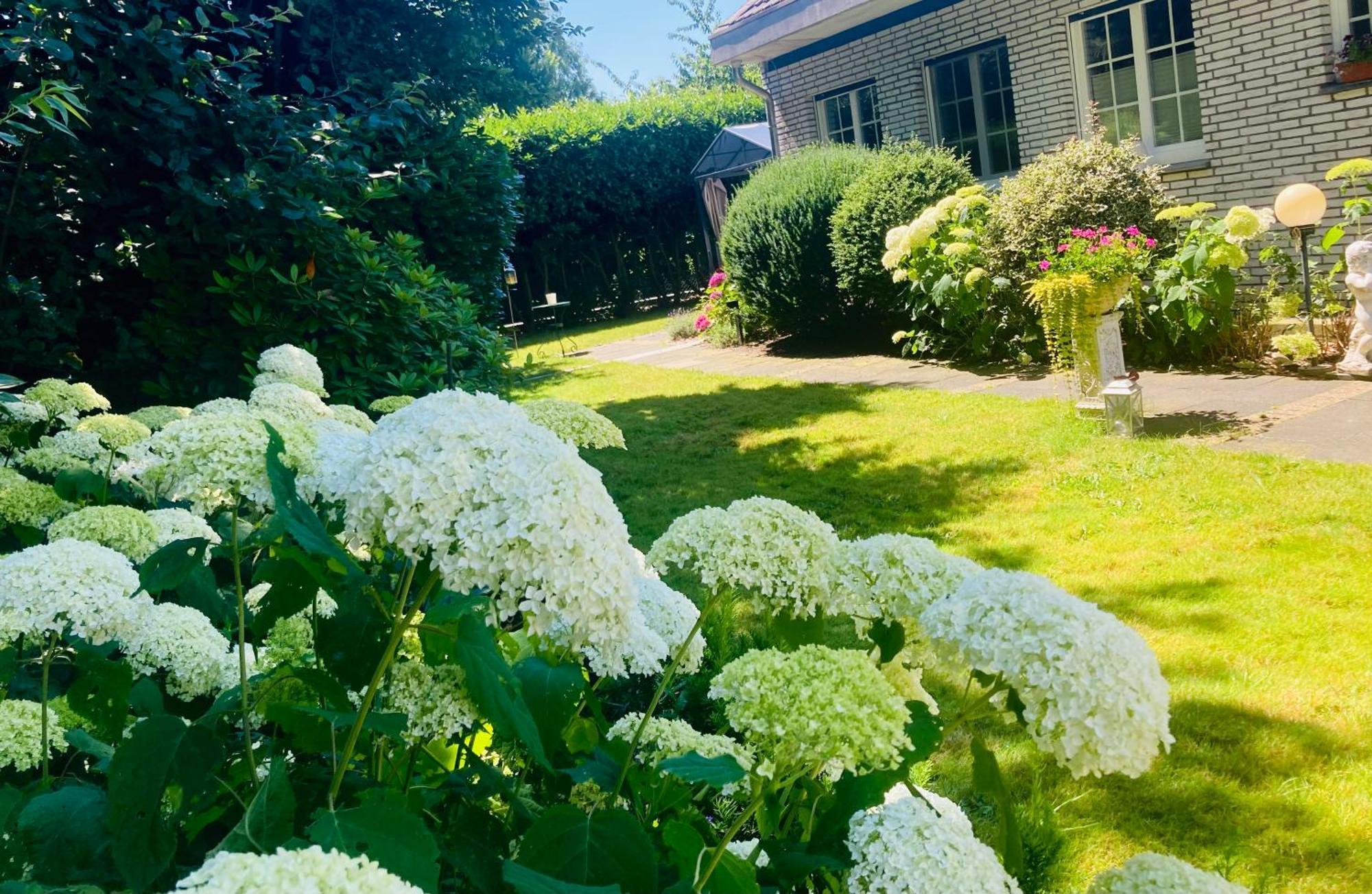 Ferienwohnung Im Haus Annabelle فيزه المظهر الخارجي الصورة